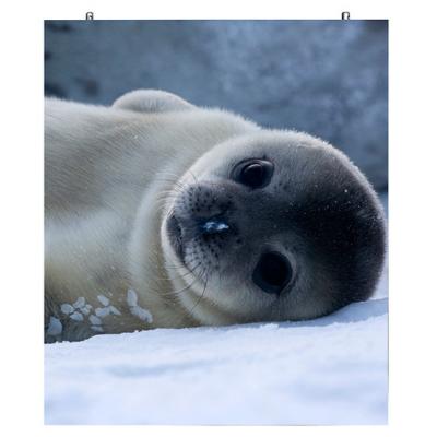 Outdoor SMD LED Display